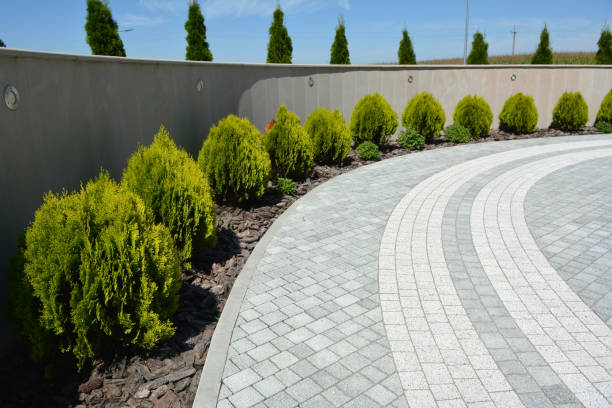 Reasons to Select Us for Your Driveway Paving Requirements in Fanning Springs, FL