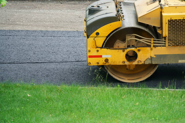Best Custom Driveway Pavers  in Fanning Springs, FL